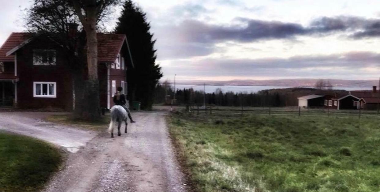 Det Gamla Panget Villa Tällberg Dış mekan fotoğraf