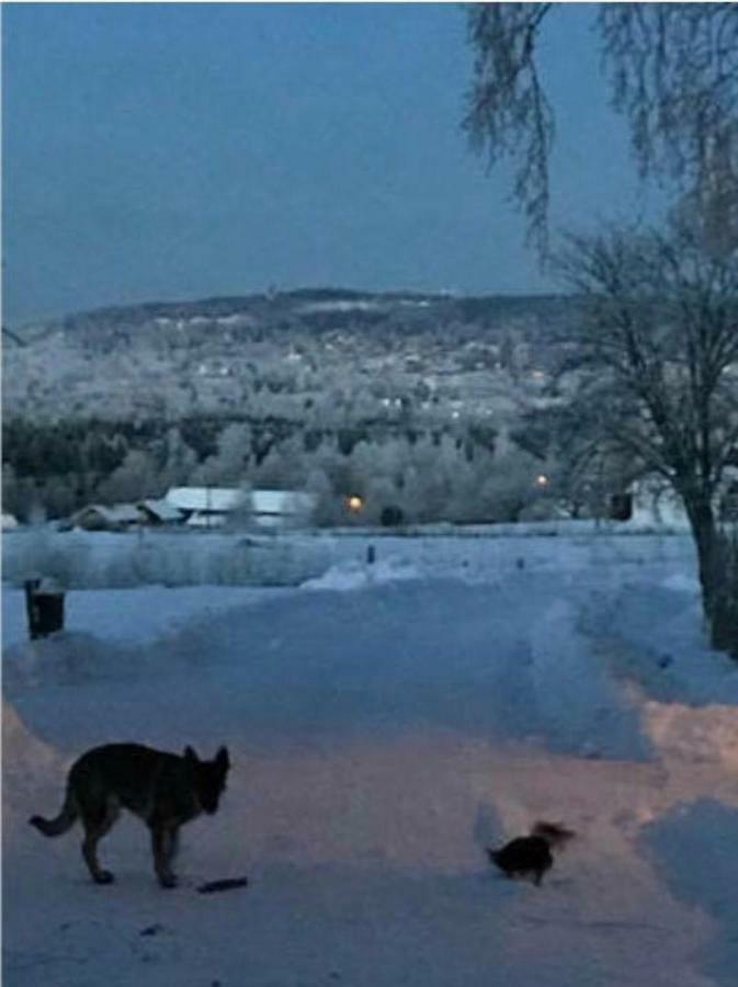 Det Gamla Panget Villa Tällberg Dış mekan fotoğraf