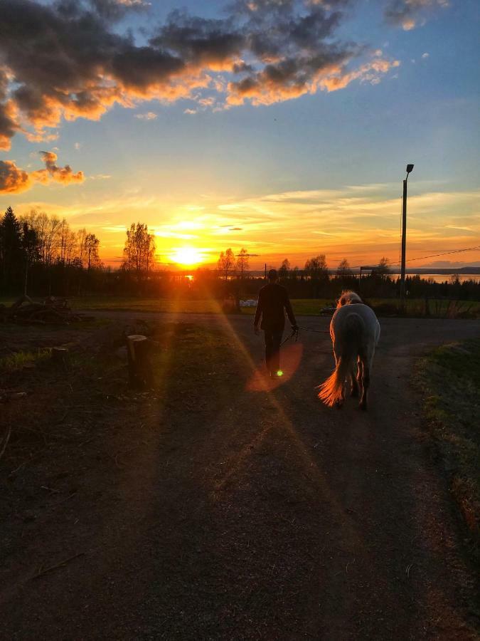 Det Gamla Panget Villa Tällberg Dış mekan fotoğraf