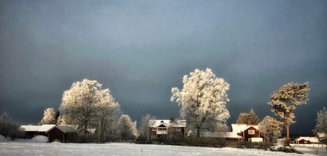 Det Gamla Panget Villa Tällberg Dış mekan fotoğraf